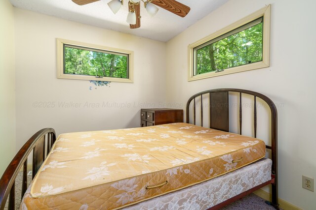 50 County Road 3146, Houston, AL 35572 - photo 16