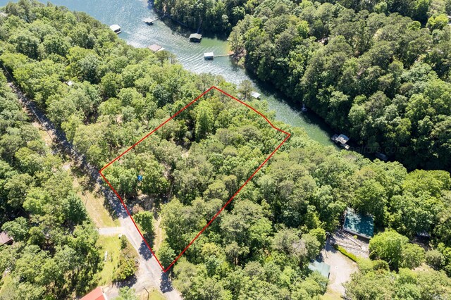 50 County Road 3146, Houston, AL 35572 - photo 33