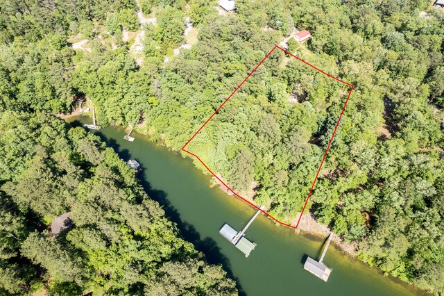 50 County Road 3146, Houston, AL 35572 - photo 34