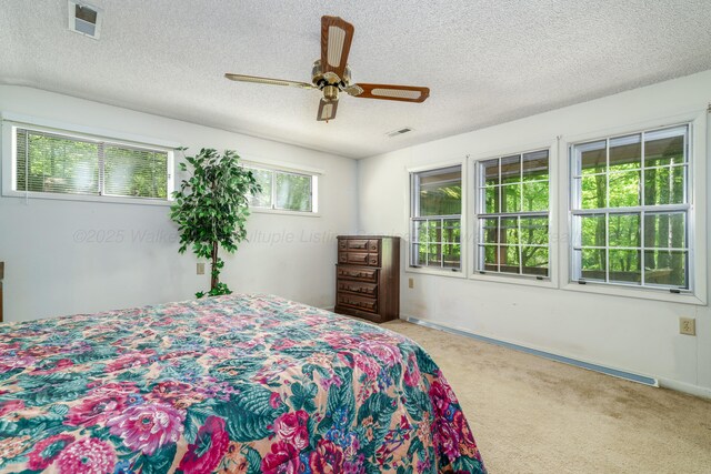 50 County Road 3146, Houston, AL 35572 - photo 13