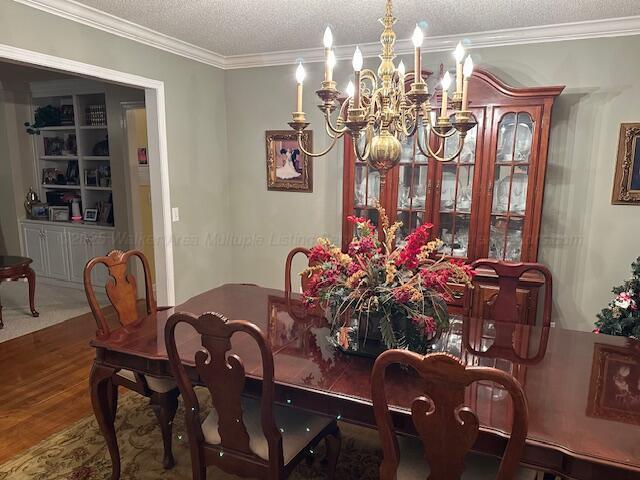 828 Peaceful Acres Rd, Lynn, AL 35575 - photo 4
