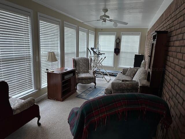 828 Peaceful Acres Rd, Lynn, AL 35575 - photo 15