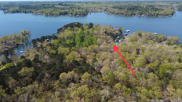 774 County Road 3926, Arley, AL 35541 - photo 40