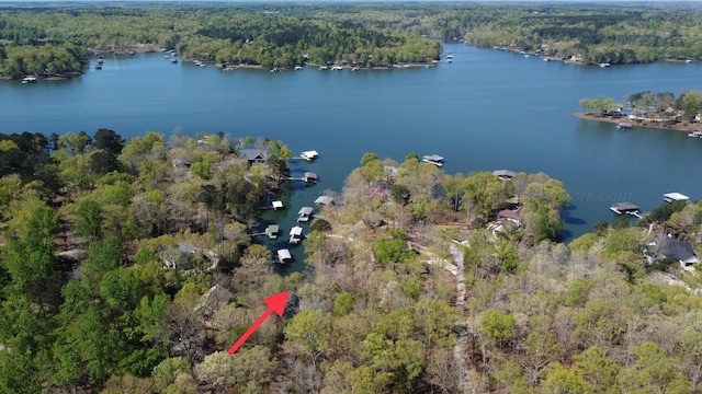 774 County Road 3926, Arley, AL 35541 - photo 35