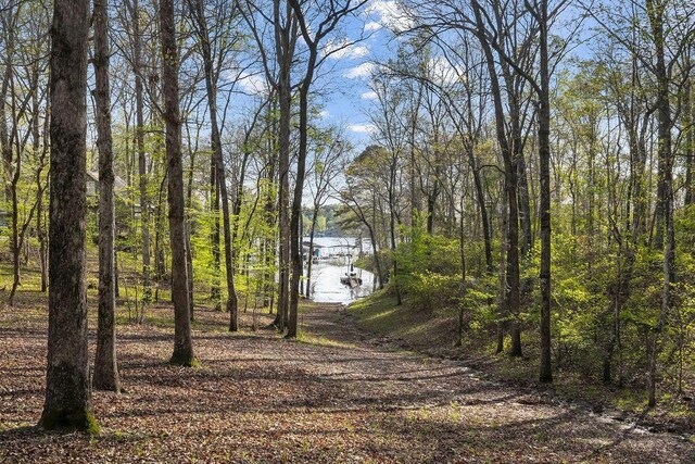 774 County Road 3926, Arley, AL 35541 - photo 31