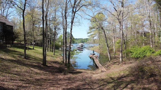 774 County Road 3926, Arley, AL 35541 - photo 33