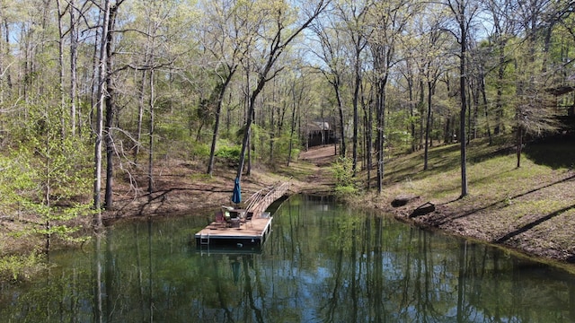 774 County Road 3926, Arley, AL 35541 - photo 2