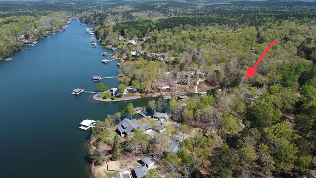 774 County Road 3926, Arley, AL 35541 - photo 36