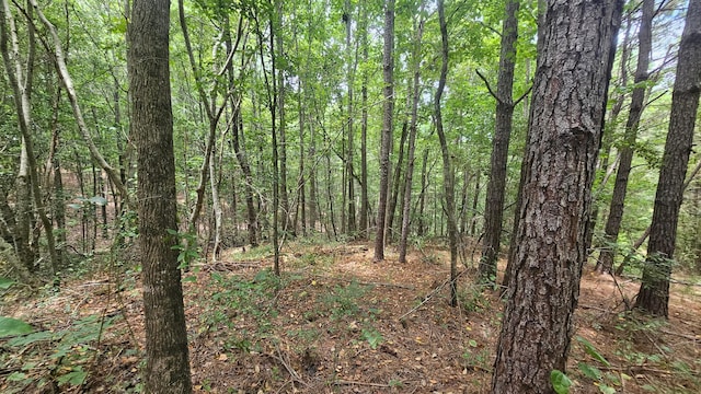 000 Busby Church Rd, Nauvoo, AL 35578 - photo 11
