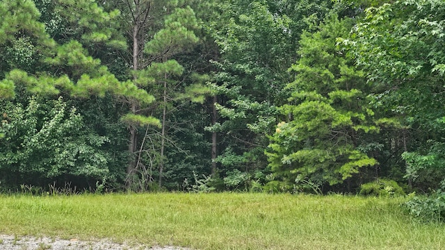 000 Busby Church Rd, Nauvoo, AL 35578 - photo 3