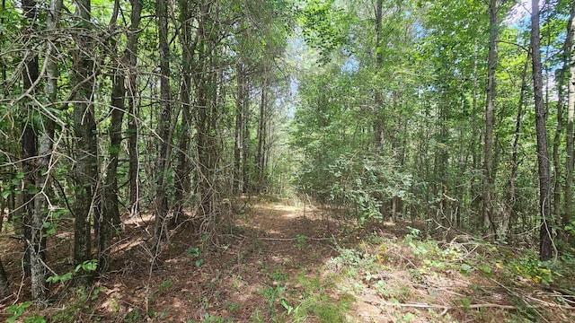 000 Busby Church Rd, Nauvoo, AL 35578 - photo 9