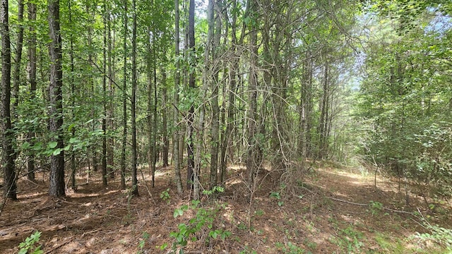 000 Busby Church Rd, Nauvoo, AL 35578 - photo 8