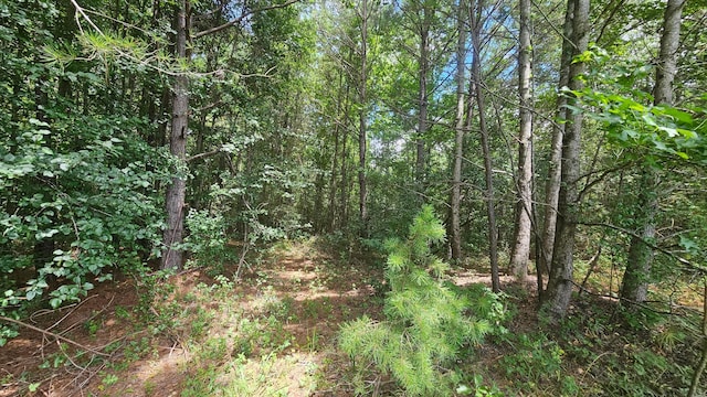 000 Busby Church Rd, Nauvoo, AL 35578 - photo 7