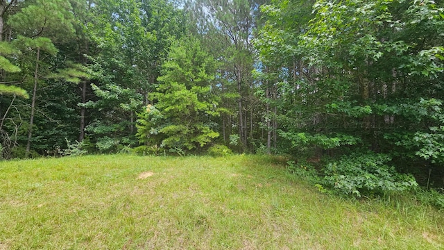 000 Busby Church Rd, Nauvoo, AL 35578 - photo 4