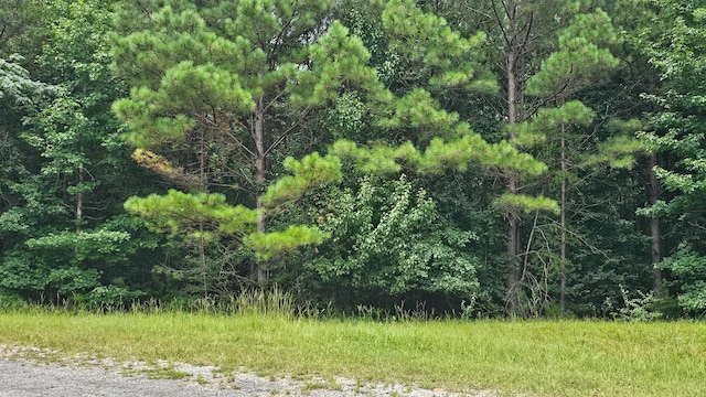000 Busby Church Rd, Nauvoo, AL 35578 - photo 2