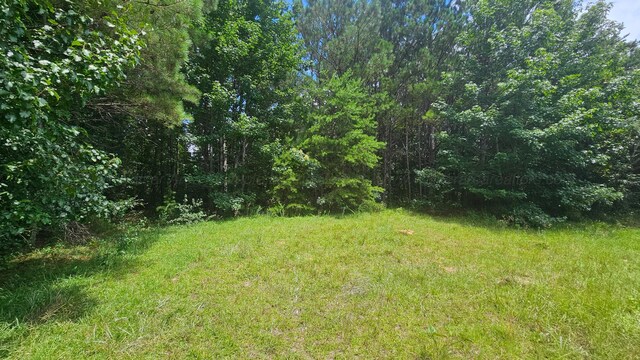 000 Busby Church Rd, Nauvoo, AL 35578 - photo 6