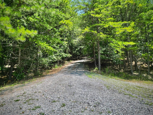 108 County Rd 3142, Houston, AL 35572 - photo 33