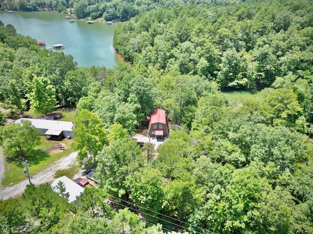 108 County Rd 3142, Houston, AL 35572 - photo 26