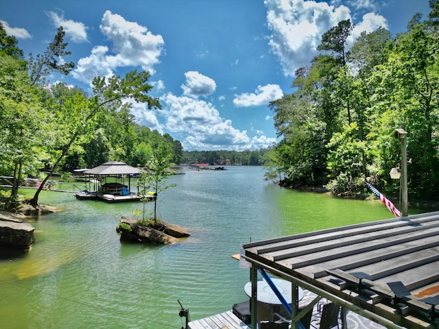 108 County Rd 3142, Houston, AL 35572 - photo 27