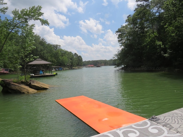 108 County Rd 3142, Houston, AL 35572 - photo 20