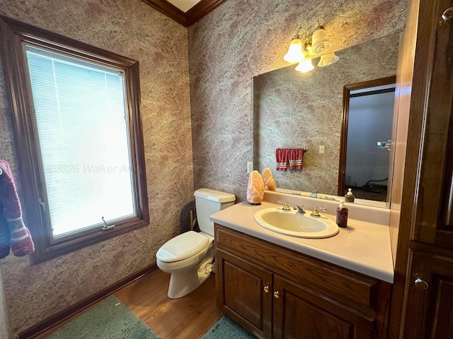 542 Llama Ln, Quinton, AL 35130 - bathroom featuring healthy amount of natural light, wood finished floors, vanity, wallpapered walls, and crown molding