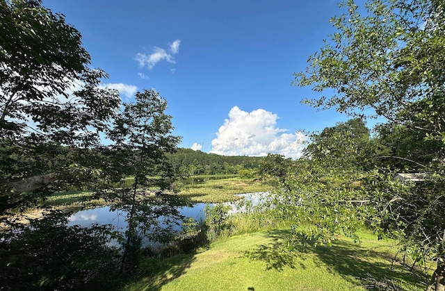 542 Llama Ln, Quinton, AL 35130 - water view with a forest