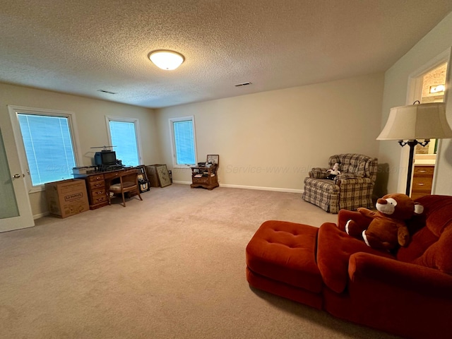 542 Llama Ln, Quinton, AL 35130 - carpeted office featuring a textured ceiling and baseboards