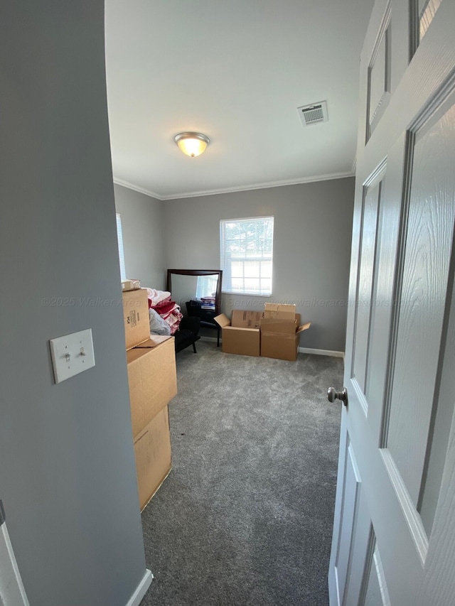 carpeted office with crown molding, baseboards, and visible vents