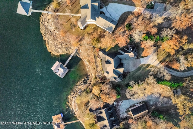 60 Sunset Dr, Arley, AL 35541 - birds eye view of property