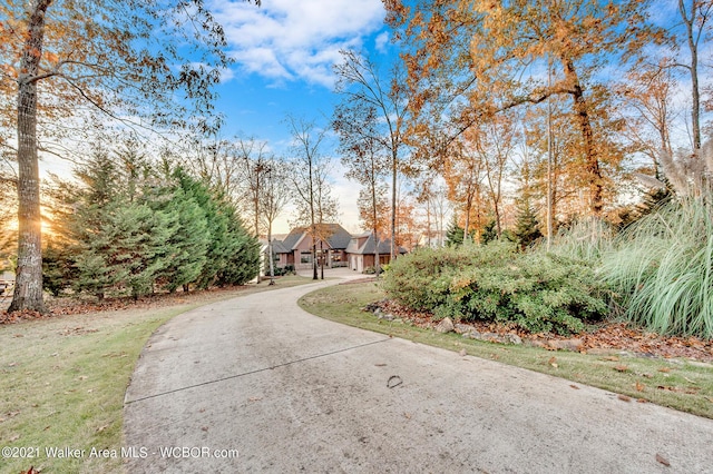 60 Sunset Dr, Arley, AL 35541 - view of front of property with concrete driveway