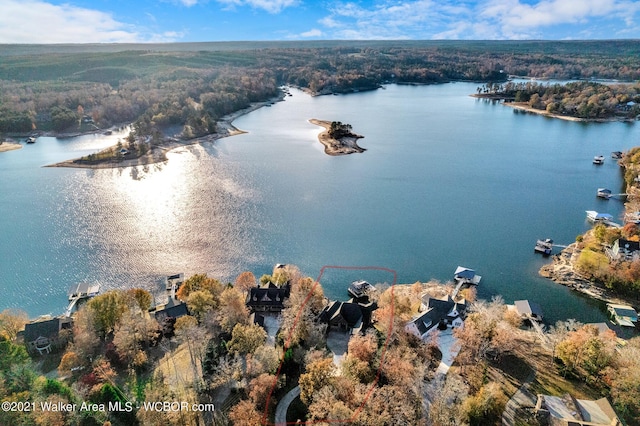 60 Sunset Dr, Arley, AL 35541 - bird's eye view featuring a water view and a view of trees