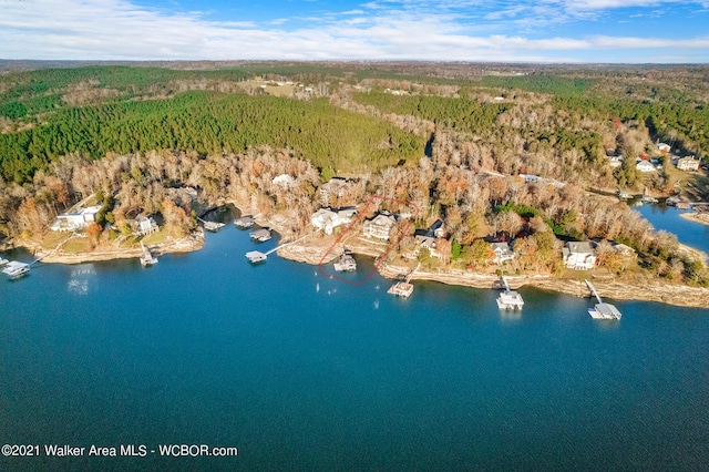 60 Sunset Dr, Arley, AL 35541 - aerial view with a water view and a view of trees