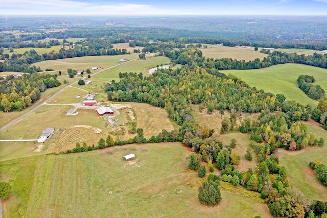 667 County Road 3909, Arley, AL 35541 - photo 12