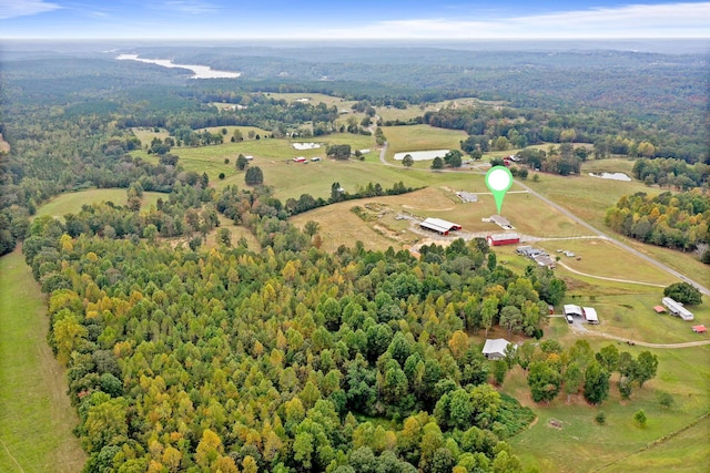 667 County Road 3909, Arley, AL 35541 - photo 15