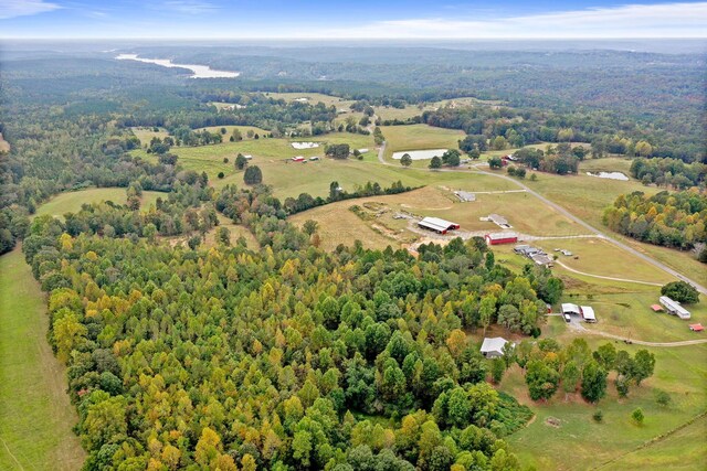 667 County Road 3909, Arley, AL 35541 - photo 16