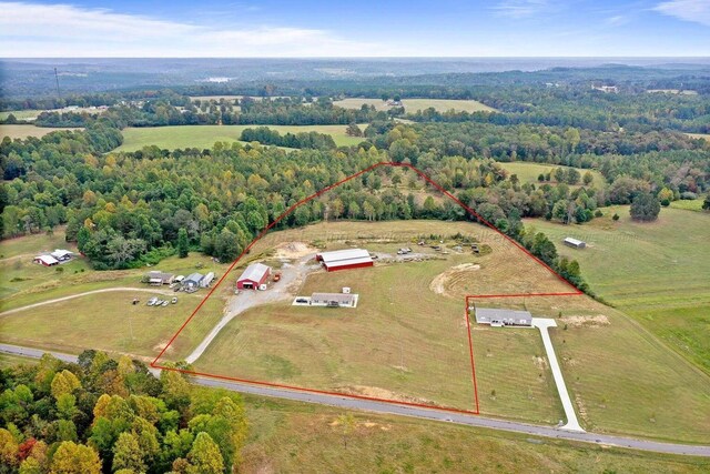 667 County Road 3909, Arley, AL 35541 - photo 2