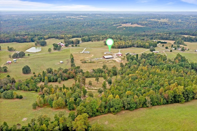 667 County Road 3909, Arley, AL 35541 - photo 13