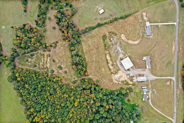 667 County Road 3909, Arley, AL 35541 - photo 3