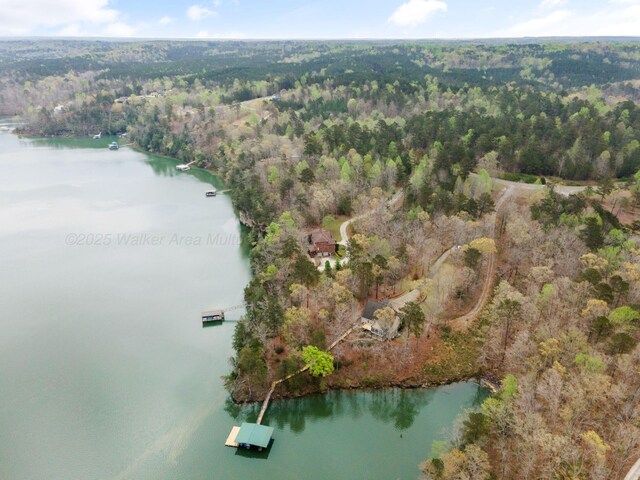 962 Brushy Creek Main, Arley, AL 35541 - photo 5