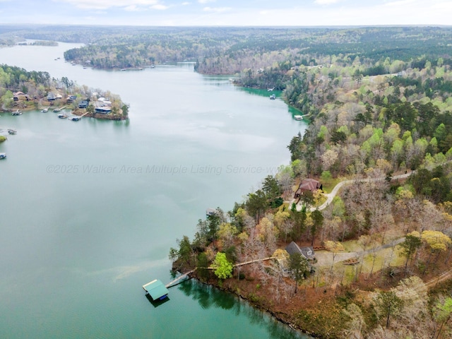 962 Brushy Creek Main, Arley, AL 35541 - photo 47