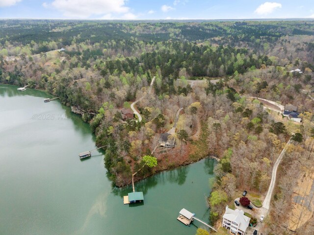 962 Brushy Creek Main, Arley, AL 35541 - photo 46