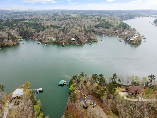 962 Brushy Creek Main, Arley, AL 35541 - photo 48