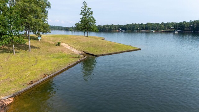1167 County Road 3945, Arley, AL 35541 - photo 21
