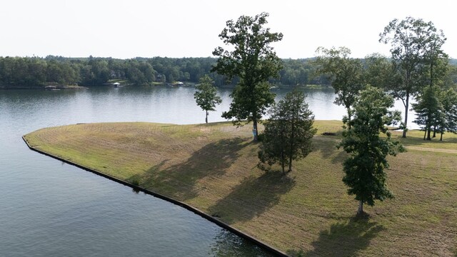 1167 County Road 3945, Arley, AL 35541 - photo 11