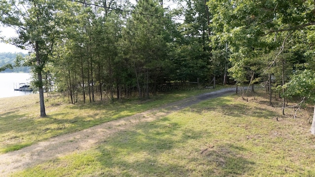 1167 County Road 3945, Arley, AL 35541 - photo 25