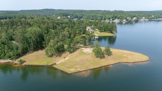 1167 County Road 3945, Arley, AL 35541 - photo 1