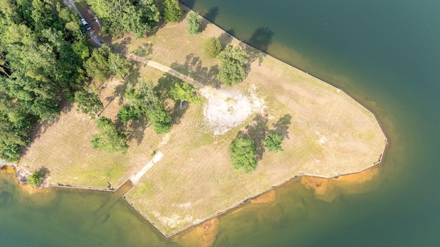 1167 County Road 3945, Arley, AL 35541 - photo 2