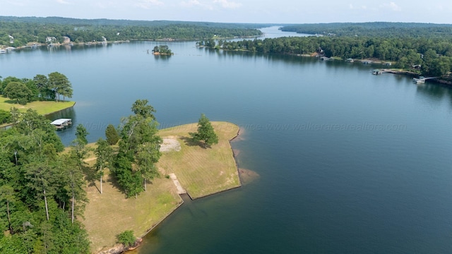 1167 County Road 3945, Arley, AL 35541 - photo 14