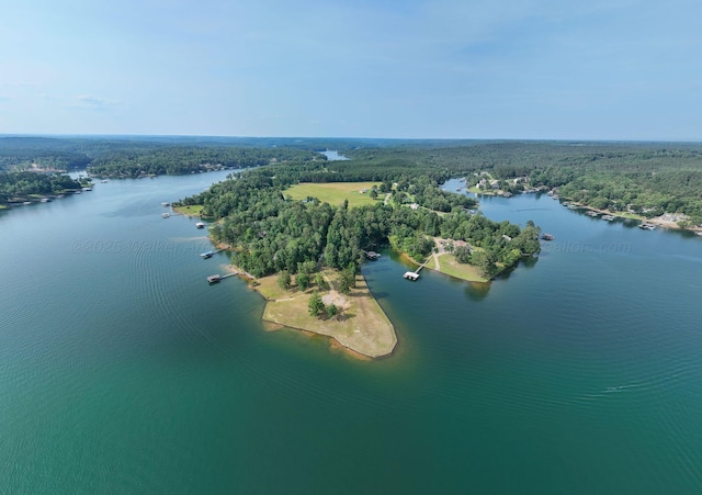 1167 County Road 3945, Arley, AL 35541 - photo 3