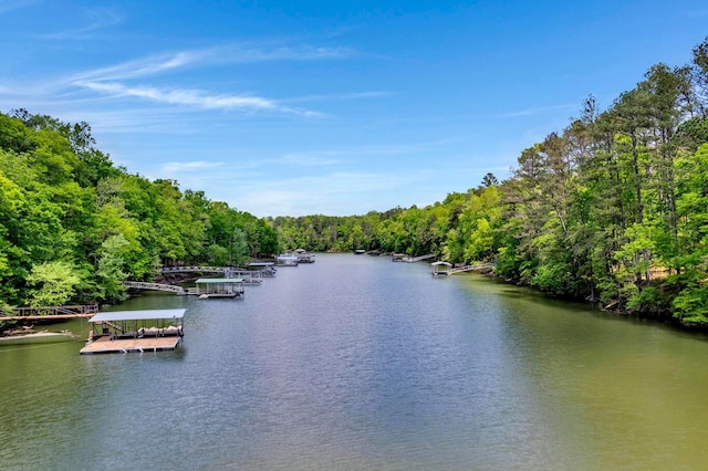 water view with a view of trees and a floating dock